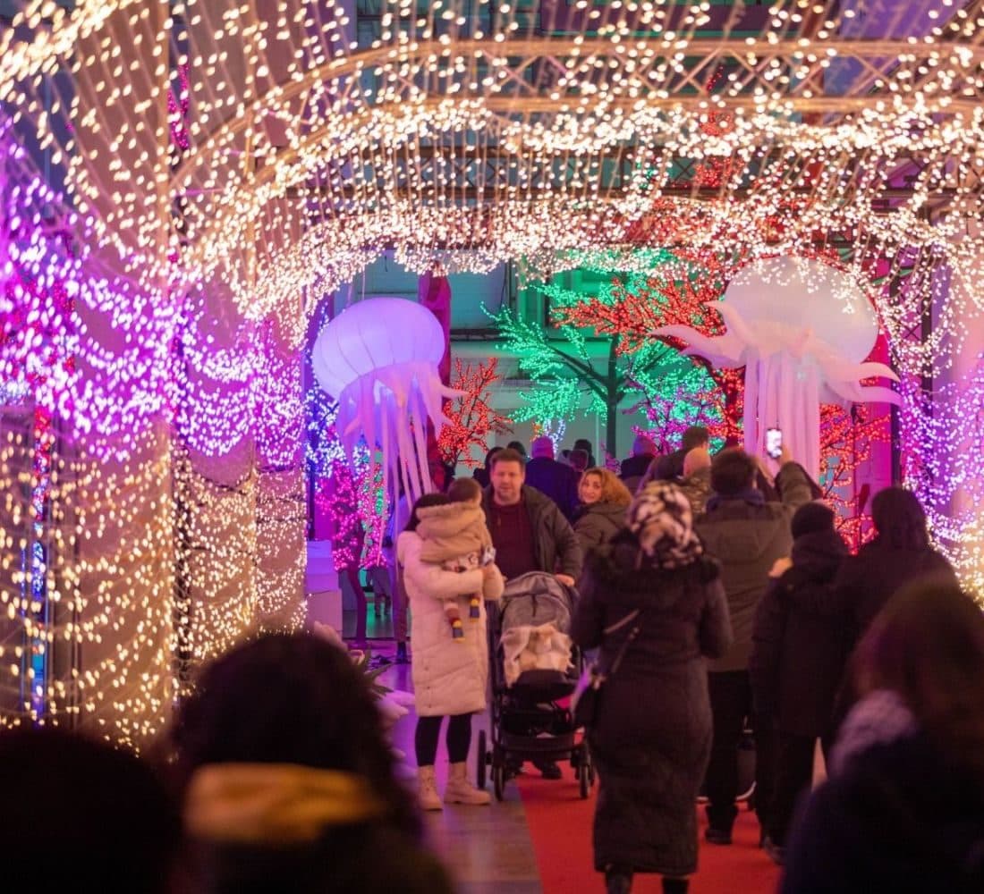 LED Licht Tunnel
