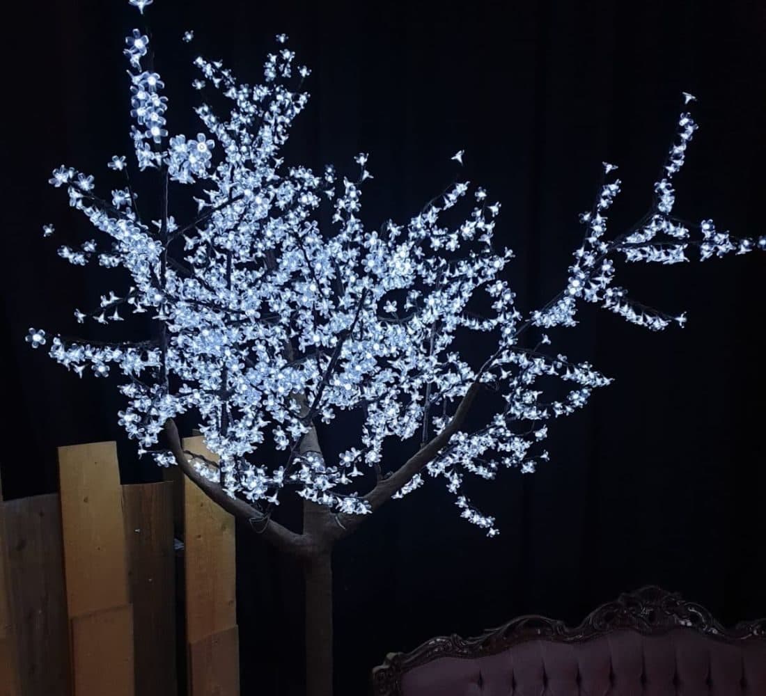 LED boom wit