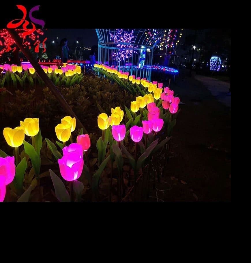 Tulpenvelden