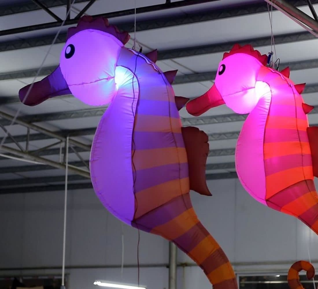 Inflatable Zeepaard