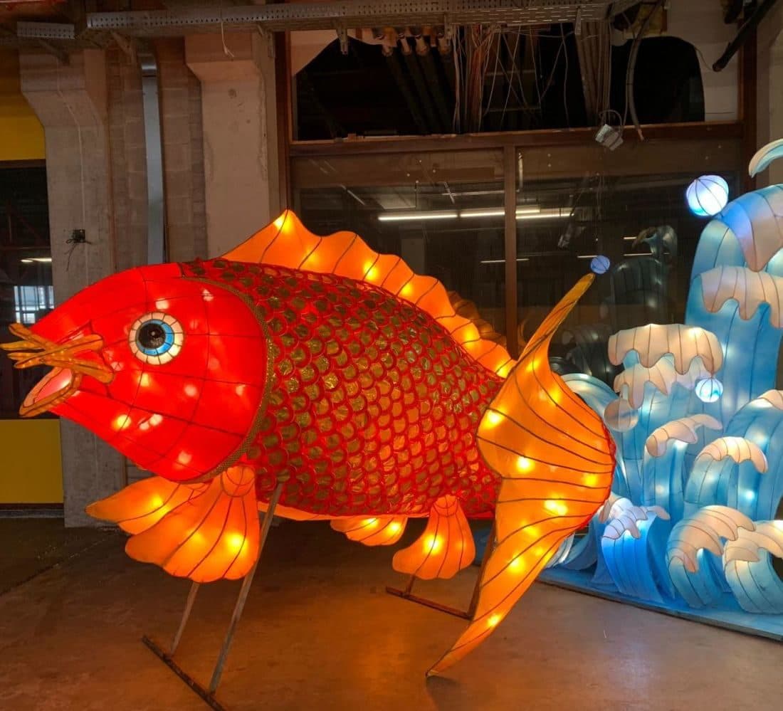 Lichtgevende Karper