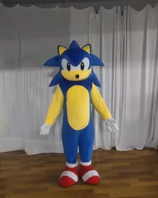 Sonic Kostuum